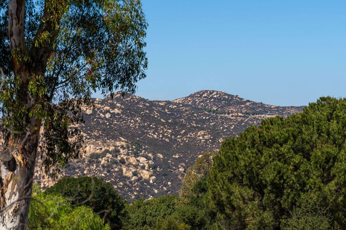 Boulder-covered mountain view framed by eucalyptus and pine